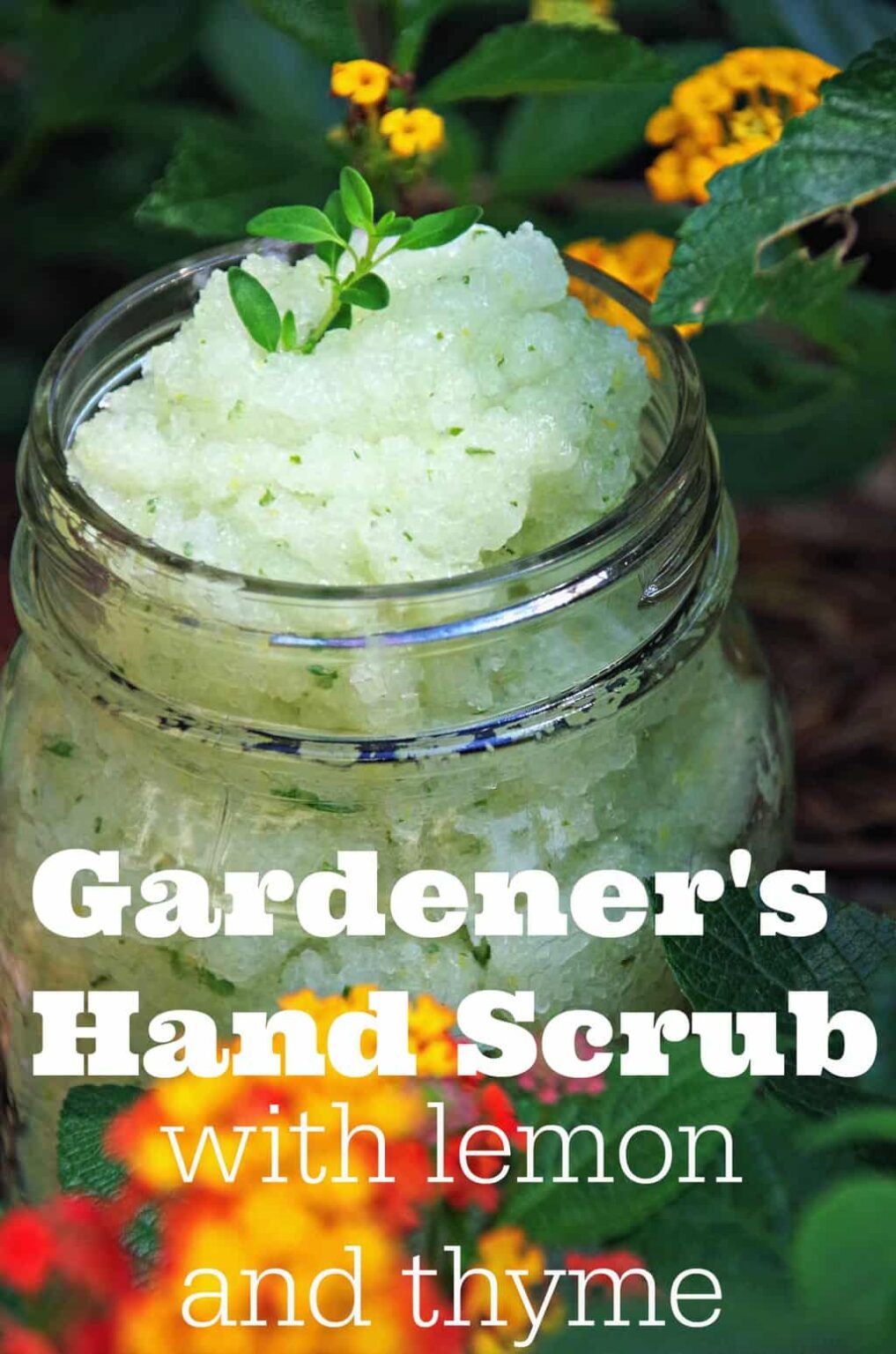 6 Homemade Body Salt Scrub Recipes with Essential Oils