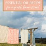 Clean cotton essential oil recipe for a fresh linen scent.