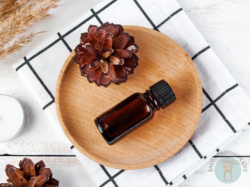 A wooden plate adorned with pine cone and by a bottle of woodsy essential oil blend.