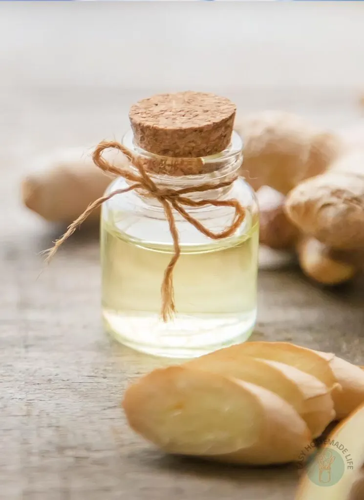 Ginger essential oil blends in a small bottle surrounded by slices of ginger and whole pieces of ginger.