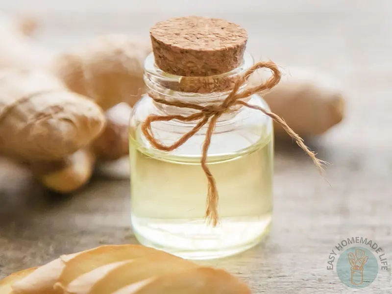 Ginger essential oil blends in a small bottle.