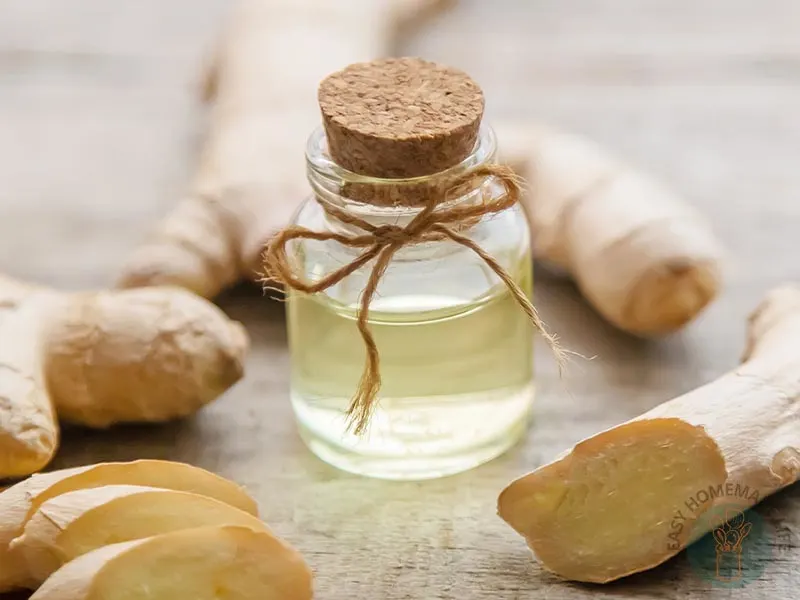 Ginger essential oil blends in a small bottle next to sliced ginger.