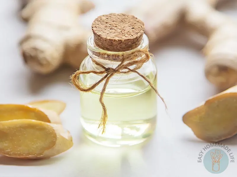 Ginger essential oil blends in a small bottle next to few slices of ginger.