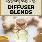 Ginger essential oil diffuser blends.