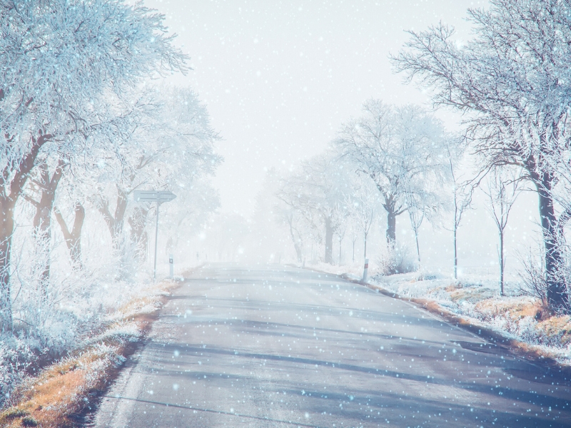 Winter road with trees covered in snow on both sides.