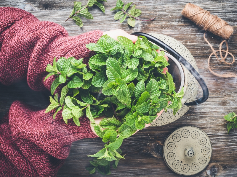 A person putting a handful of mint leaves in a teapot.