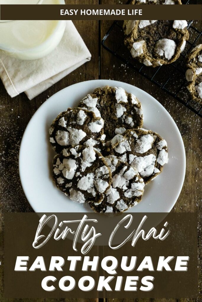 Dirty chai earthquake cookies.