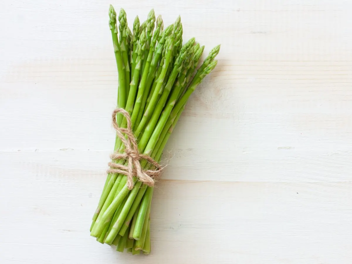 A bunch of fresh asparagus tied with twine.