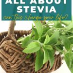 cool facts about stevia plant