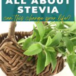 10 cool facts all about stevia plant. Can this change your life?