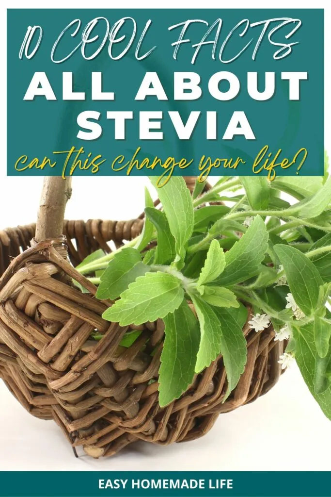 cool facts about stevia plant