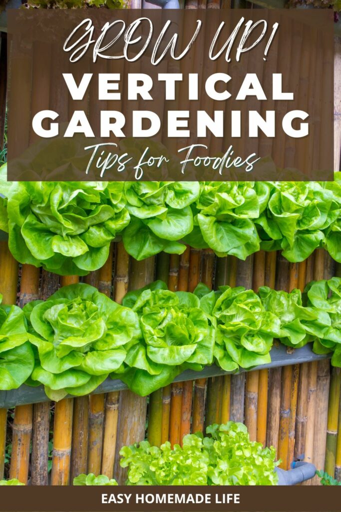 Grow up! Vertical gardening tips for foodies.