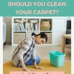How often should you clean your carpet?