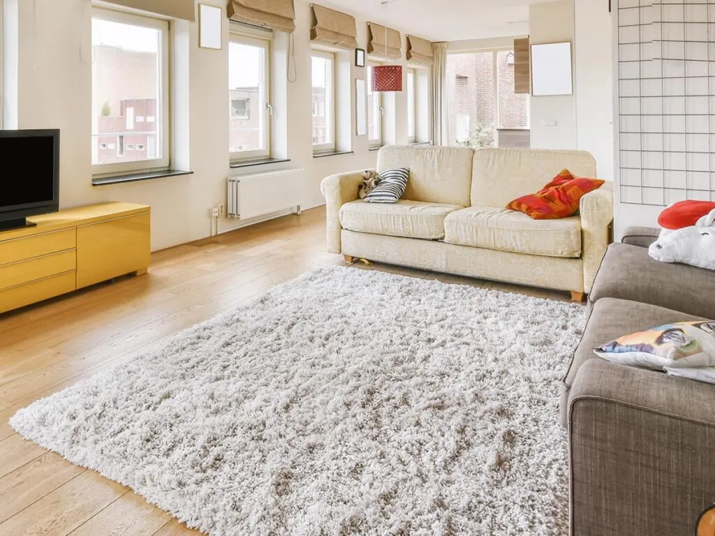 white shag area rug in the living room.