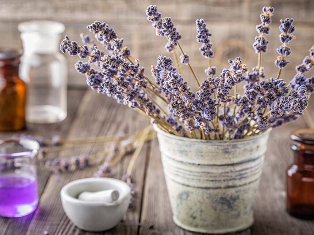 Lavender cut in bucket next to mortar and pestle and a bottle of purple liquid.