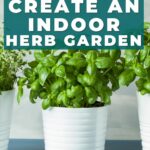 How to create an indoor herb garden.