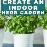 How to create an indoor herb garden.