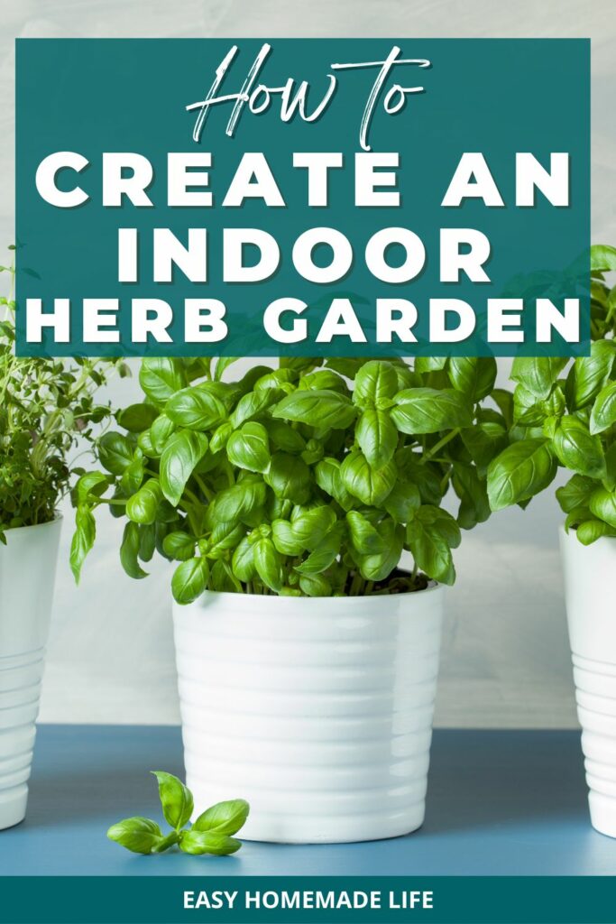 How to create an indoor herb garden