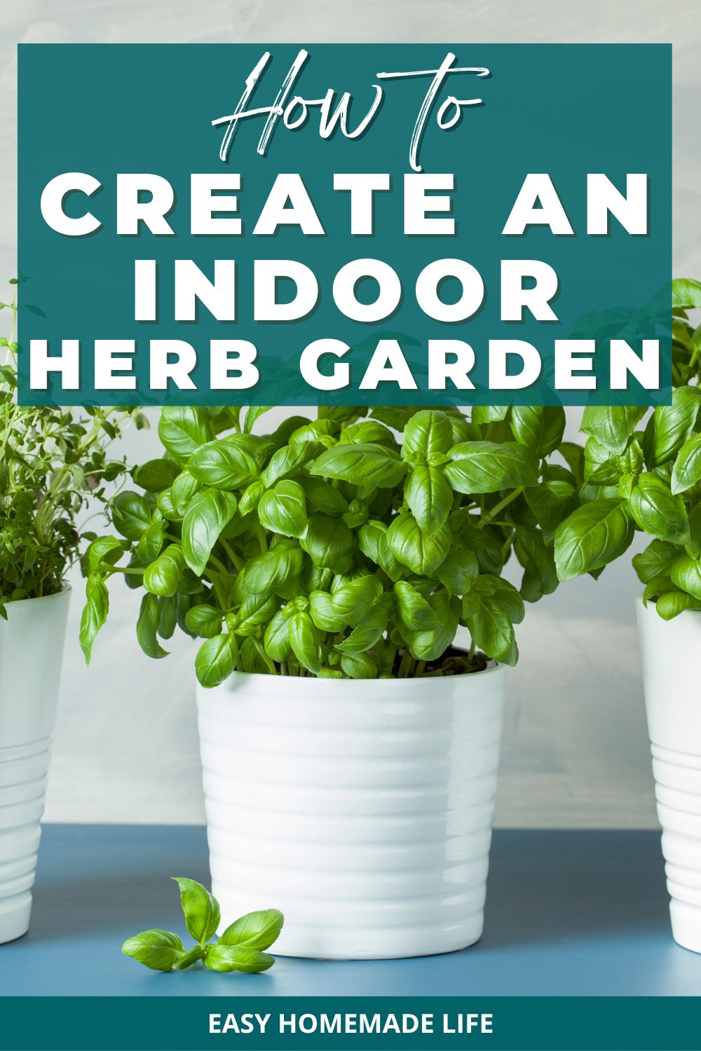 Petite and Productive: How to Create an Indoor Herb Garden