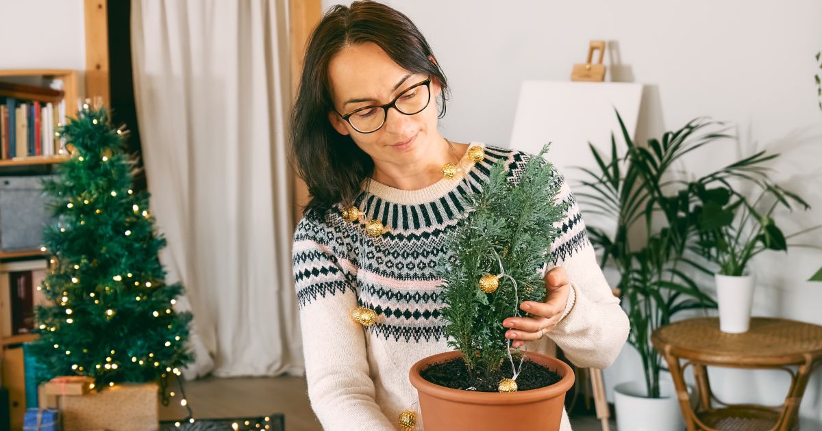 Best Christmas Tree for Allergies 3 Types for You