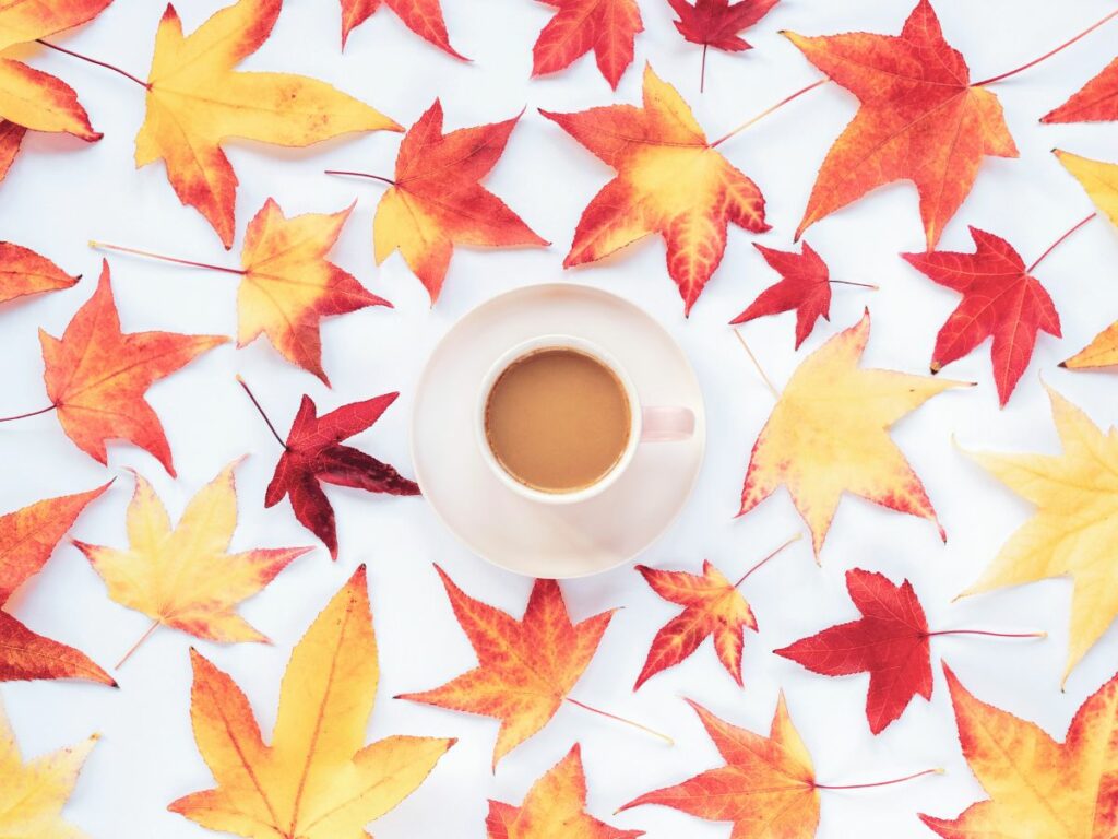 A cup of coffee surrounded by autumn leaves.