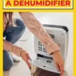 How to clean a dehumidifier.