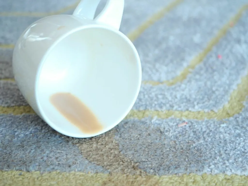 A spilled cup of coffee on indoor carpet.