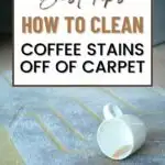 Best tips. How to clean coffee stains off of carpet.