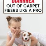How to clean diarhea out of carpet fibers like a pro.