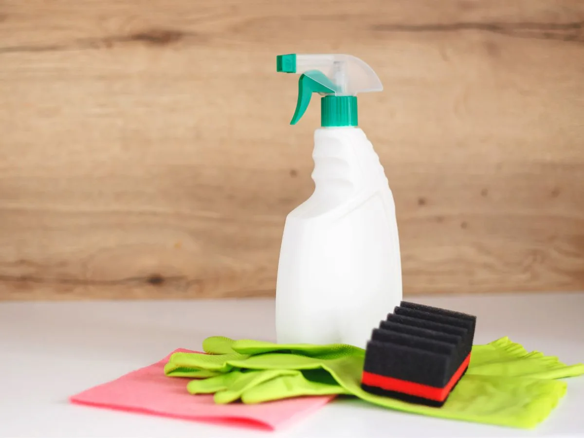 3 Steps How to Clean Pee Stains + Smells From Carpet