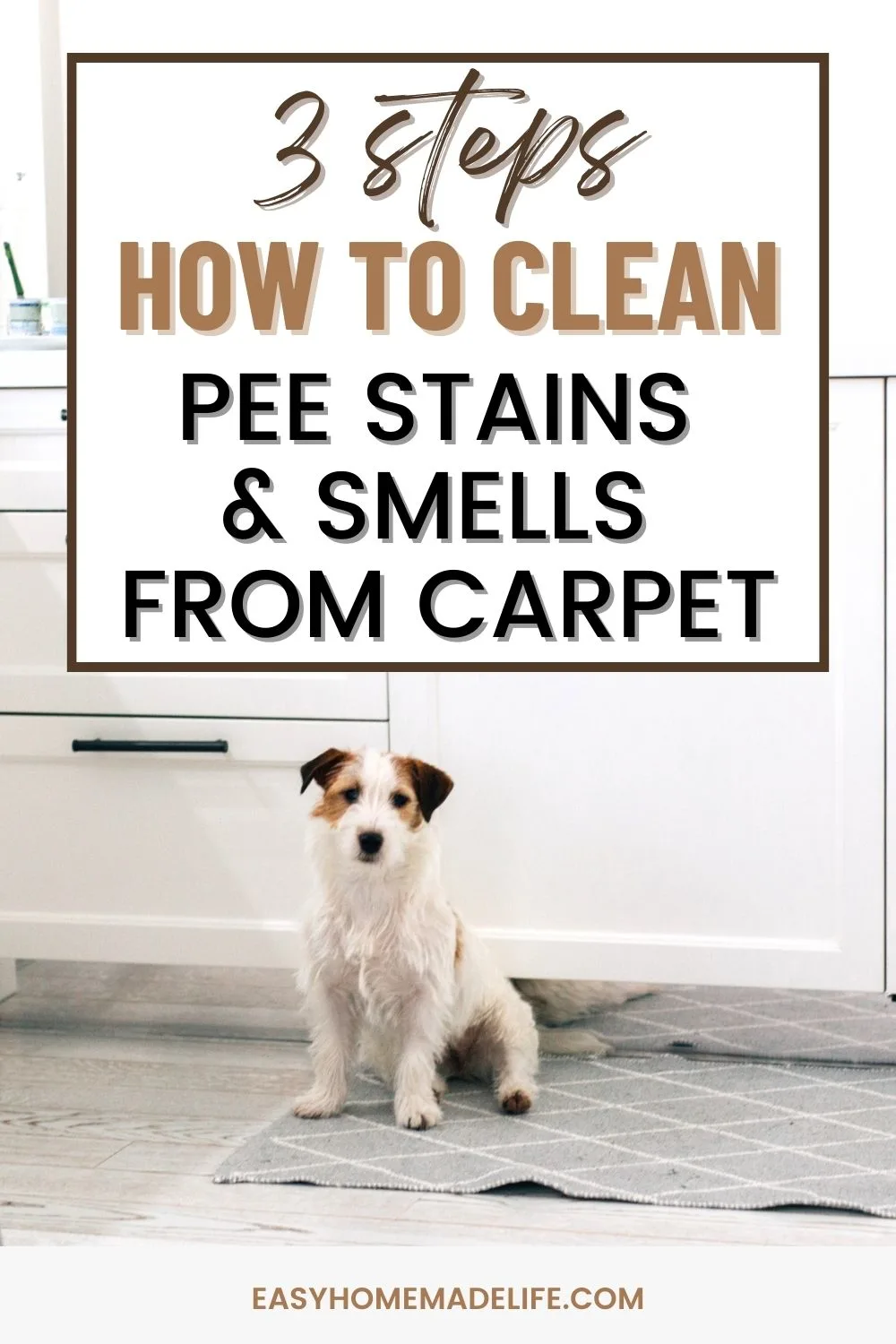3-steps. How to clean pee stains and smells from carpet.