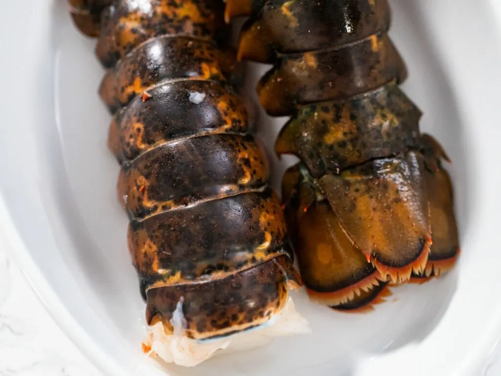 Two lobster tails on a white plate.