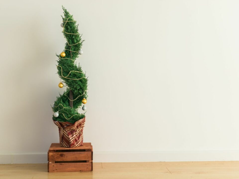 Christmas Tree Allergy Symptoms & What To Do for Holidays