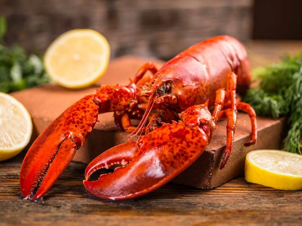 A lobster on a wooden board with lemons and dill.