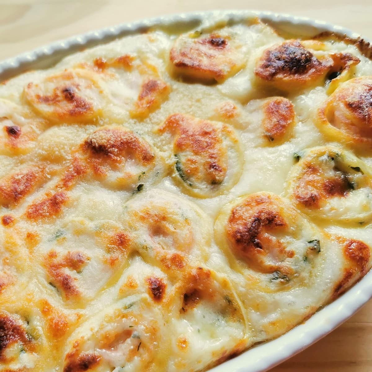 A white casserole dish with smoked salmon pasta rolls.