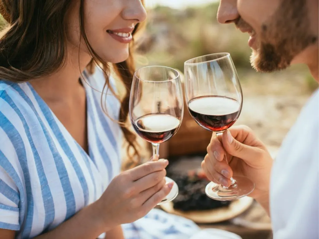 A man and woman are drinking wine at a picnic.