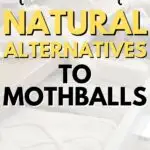 The best natural alternatives to mothballs.