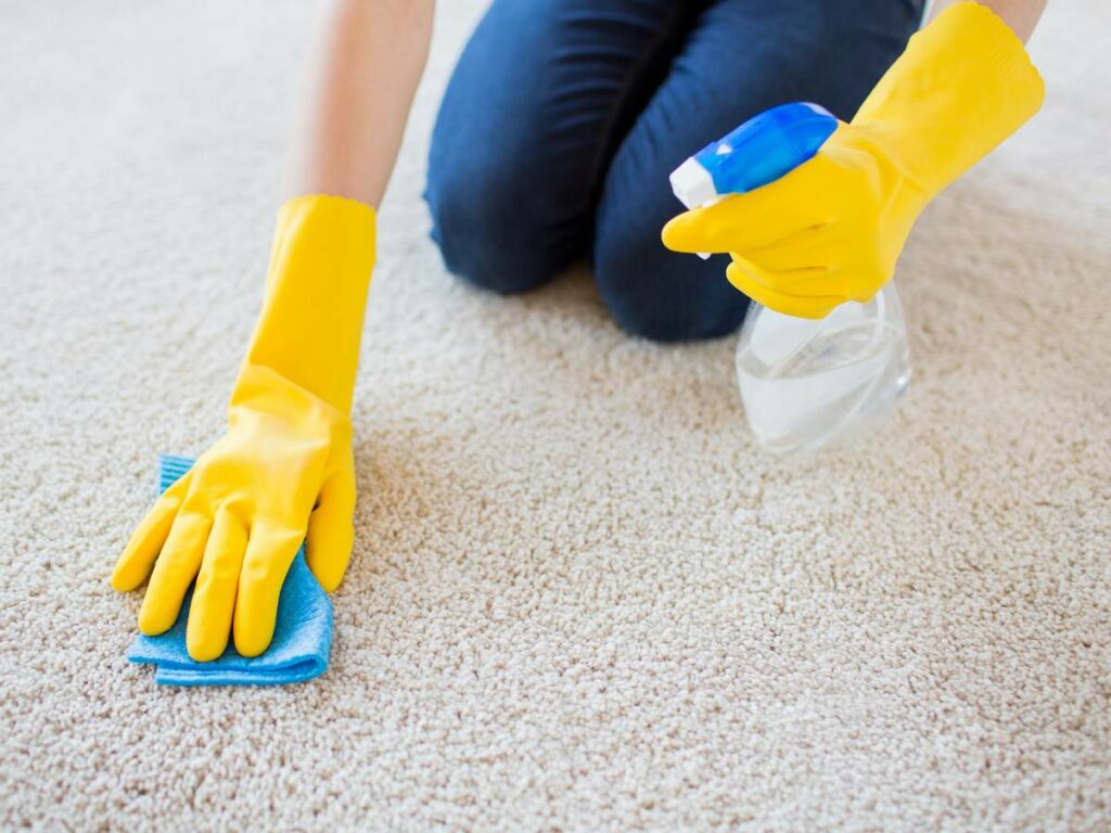 Person wearing yellow gloves cleaning a carpet with a spray bottle and cloth.