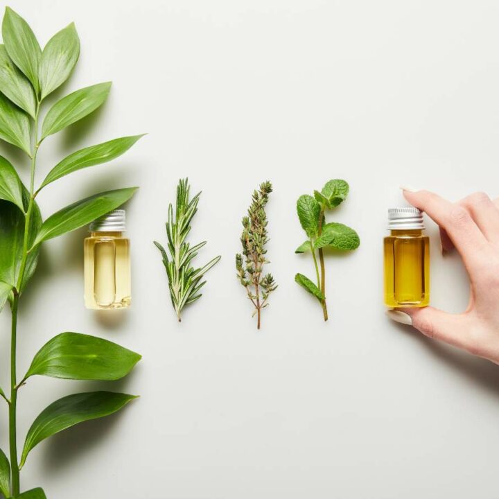 Cold Diffuser For Essential Oils: A Beginner's Guide