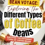 Promotional image for a coffee-related article, featuring scattered coffee beans and utensils, titled "bean voyage: exploring the different types of coffee beans.