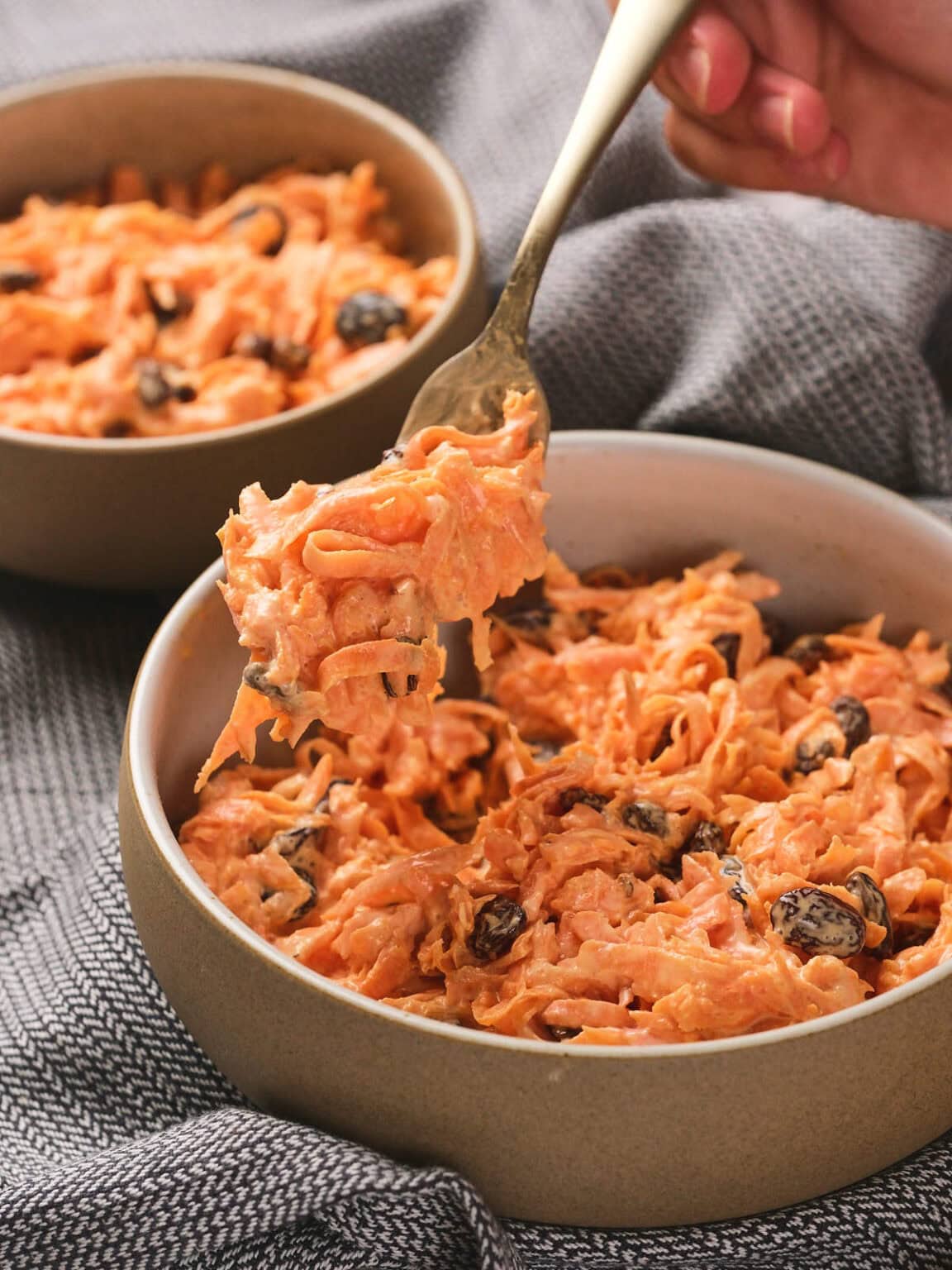Classic Carrot Raisin Salad Recipe Just like Grandma s
