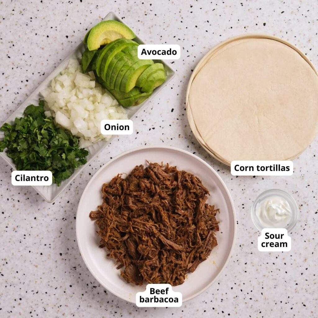 Overhead view of labeled ingredients of barbacoa tacos.