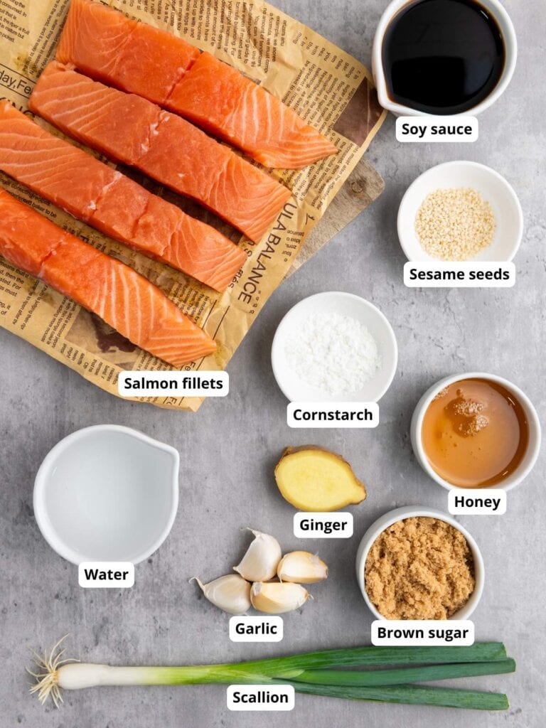 Raw salmon fillets on newspaper with bowls of soy sauce, sesame seeds, cornstarch, honey, brown sugar, water, ginger, garlic cloves, and a scallion on a gray surface.