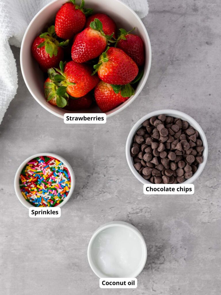 Four bowls on a gray surface containing strawberries, chocolate chips, colorful sprinkles, and coconut oil. Each bowl is labeled.