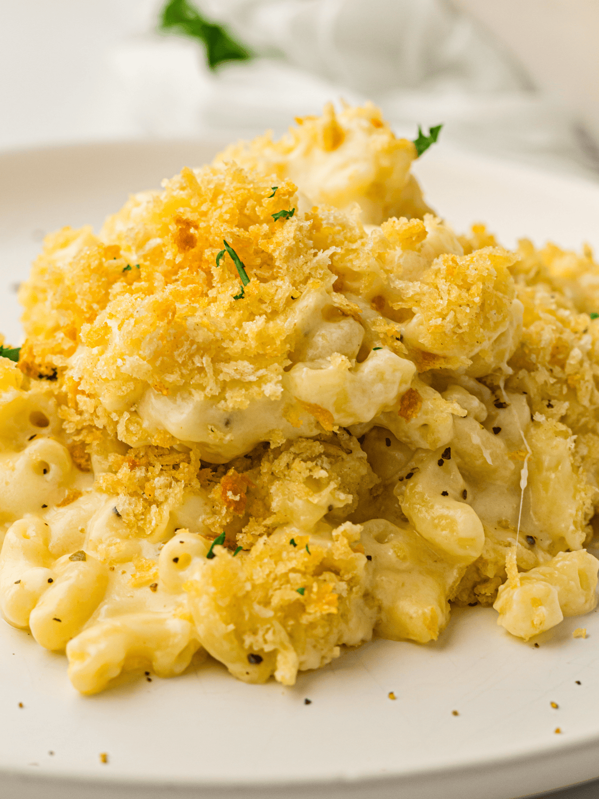 Macaroni and cheese topped with golden breadcrumbs and garnished with herbs on a white plate.