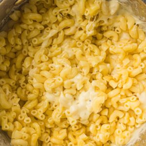 Cooked elbow macaroni mixed with melted cheese, forming a creamy macaroni and cheese dish.