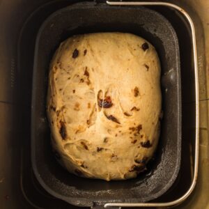 Dough with raisins is rising inside a rectangular bread machine pan.