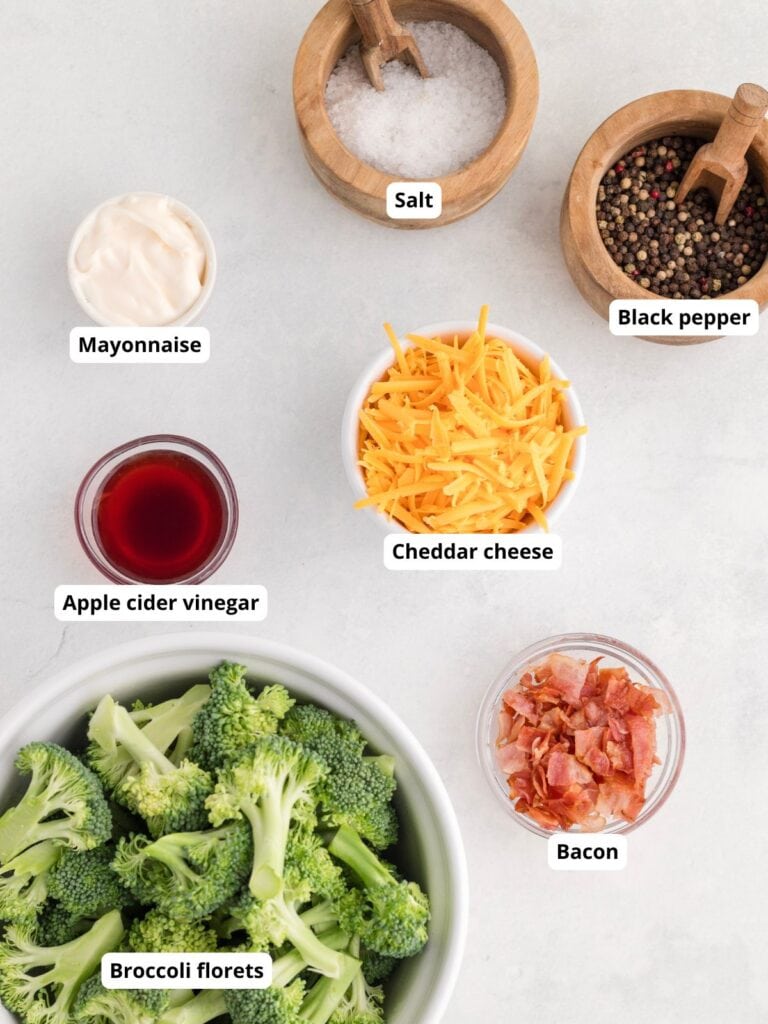 Top-down view of ingredients for broccoli salad: broccoli florets, bacon, cheddar, mayonnaise, apple cider vinegar, salt, and black pepper.